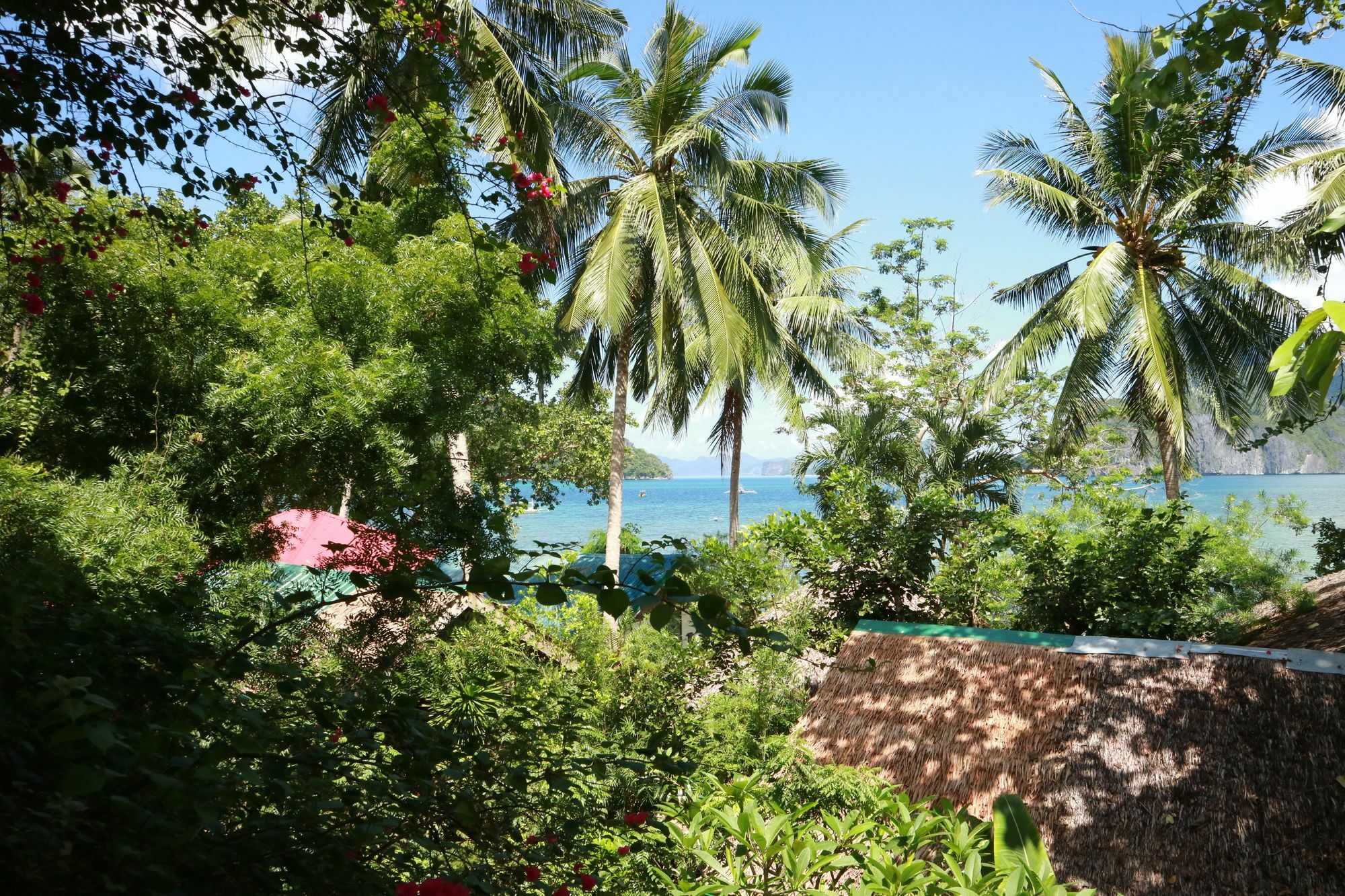 Golden Monkey Cottages El Nido Zewnętrze zdjęcie